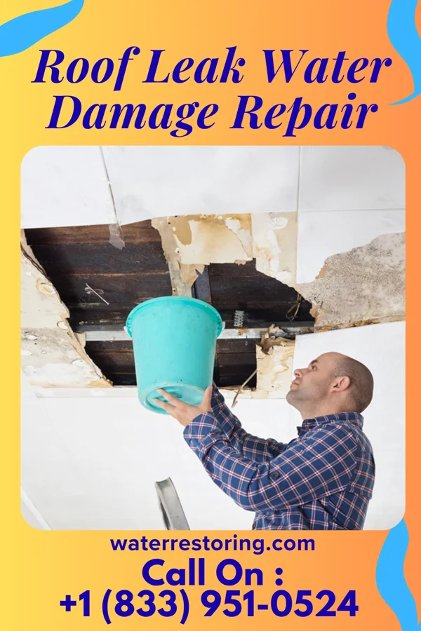 Roof Leak Water Damage Repair in North Chicago, IL