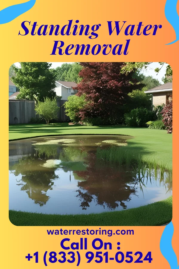 Standing Water Removal in North Chicago, IL